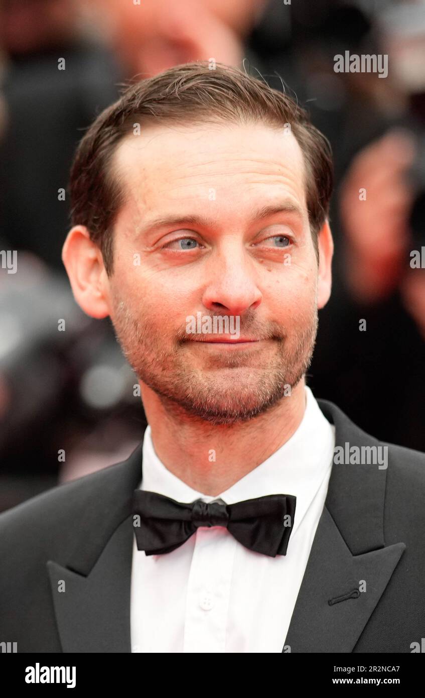 Cannes, Cannes, France. 20th mai 2023. L'acteur TOBEY MAGUIRE participe à la projection et à l'événement de tapis rouge du film « les meurtriers de la Lune des fleurs », réalisé par Martin Scorsese, qui sera présenté hors compétition, lors du festival annuel de Cannes 76th au Palais des Festivals sur 20 mai 2023 à Cannes, en France. (Credit image: © Alexandra Fechete/ZUMA Press Wire) USAGE ÉDITORIAL SEULEMENT! Non destiné À un usage commercial ! Banque D'Images