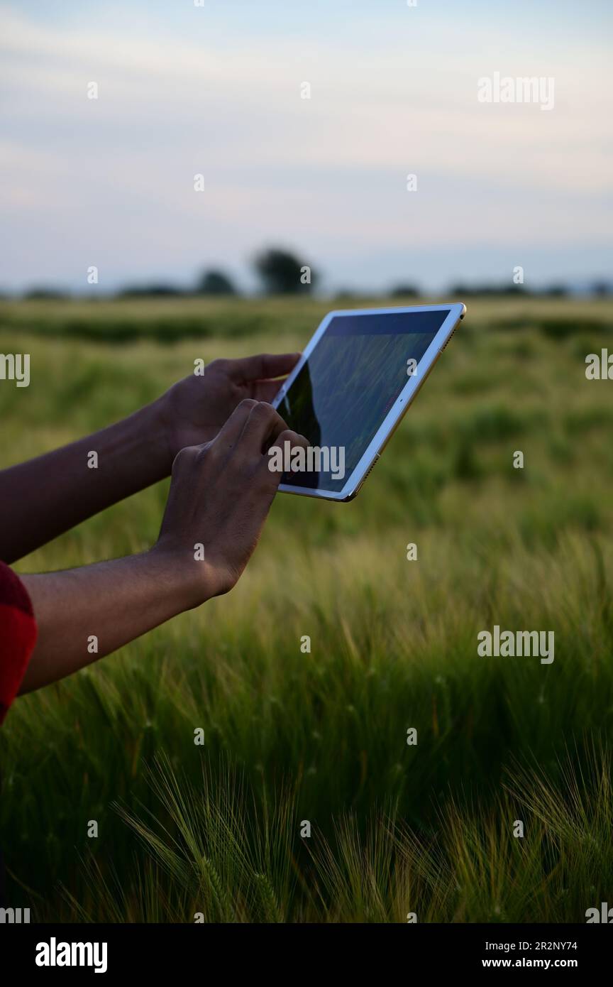 Homme utilisant une tablette sur le terrain. L'avenir de l'agriculture : le nouveau visage d'une agriculture efficace gérée par des tablettes Banque D'Images