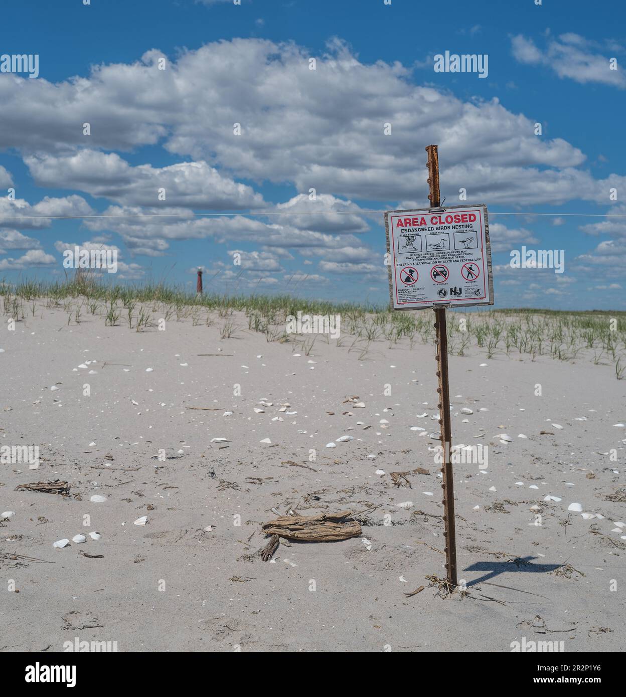 BARNEGAT LIGHT, N.J. – 6 mai 2023 : un terrain de nidification pour les oiseaux en voie de disparition est vu dans la lumière de Barnegat, sur l'île de long Beach. Banque D'Images