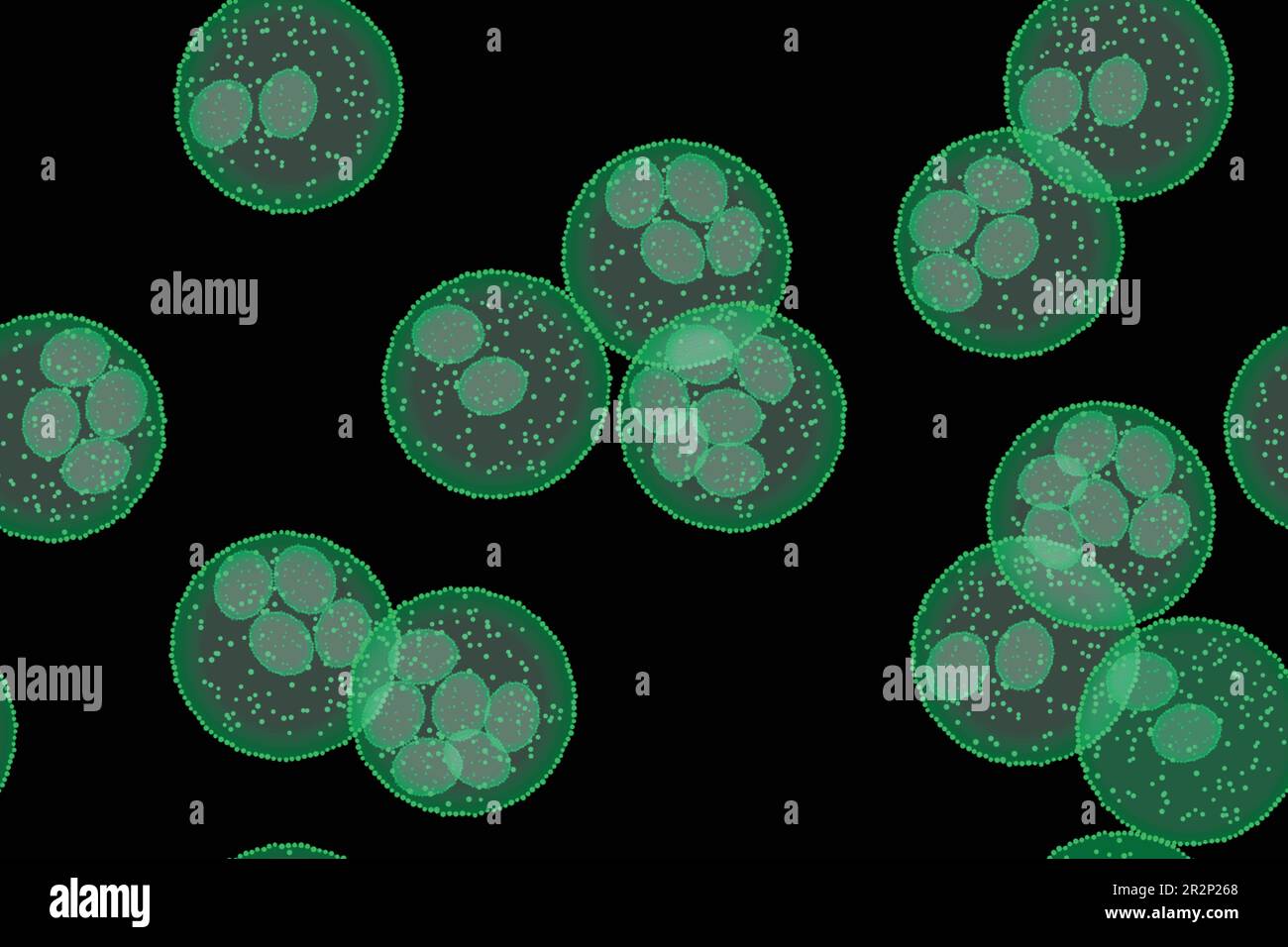 Cellules ou gros plan unicellulaire sur fond noir, motif transparent Illustration de Vecteur