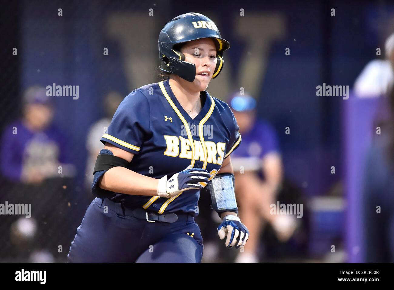 19 mai 2023 : = pendant le match régional de softball NCAA entre les ours du Colorado du N. et les Huskies de Washington au stade de softball Husky à Seattle, en Australie occidentale. Washington défait N. Colorado 10-2. Steve Faber/CSM Banque D'Images