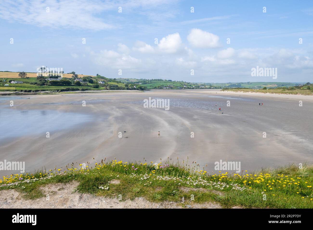 Inchydoney Beach, West Cork, Irlande. 20th mai 2023. Inchydoney Beach est l'un des 8 sites du pays qui a reçu le drapeau bleu et le Green Coast Award. Crédit : AG News/Alay Live News Banque D'Images
