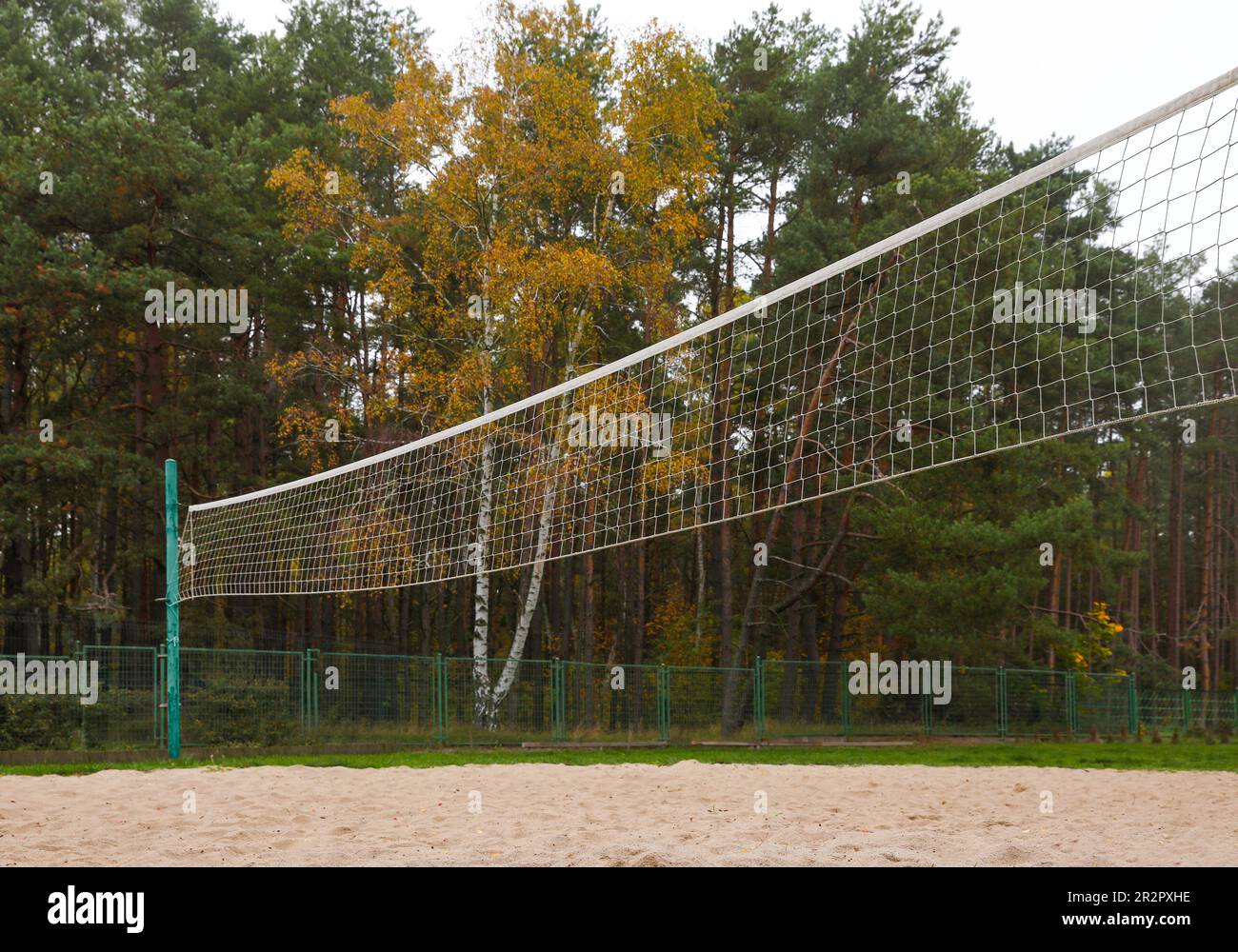 Terrain de volley-ball de plage avec filet près des arbres Banque D'Images