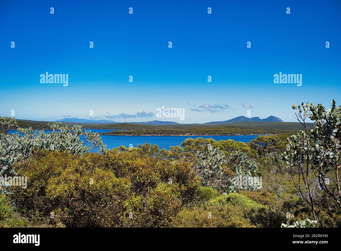 Vue sur Hamersley Inlet et Wheejarup (chaîne de montagnes Whoogarup), parc national Fitzgerald River, Australie occidentale. Végétation indigène au premier plan Banque D'Images