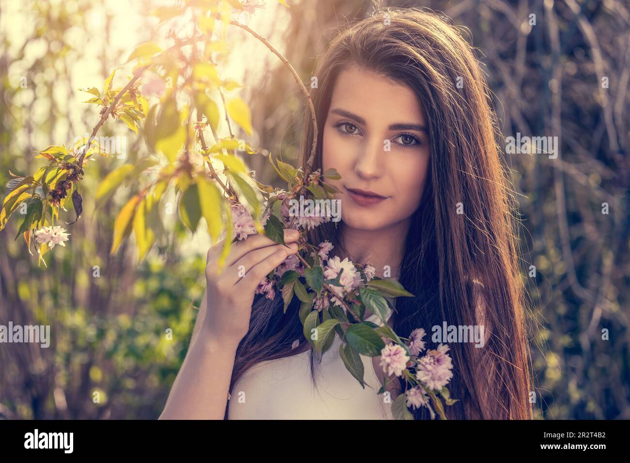 Belle fille de brunette posant sur l'appareil photo à l'extérieur près de l'arbre de sakura. Horizontalement. Banque D'Images