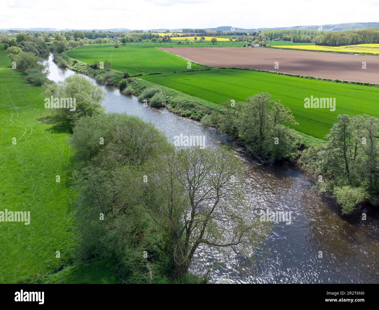 River Wye à Bridge Sollars près de Hereford, Royaume-Uni Banque D'Images