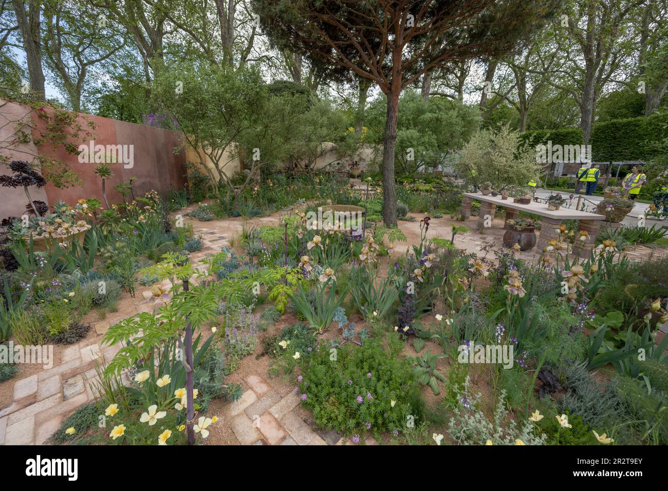 Royal Hospital Chelsea, Londres, Royaume-Uni. 21st mai 2023. Avant l'ouverture du RHS Chelsea Flower Show (22-27 mai), le plus grand spectacle de fleurs du monde. Image: Le jardin des paysages de la culture, le jardin d'exposition. Concepteur : Sarah Price. L'atmosphère et l'inspiration du jardin ont été tirées des peintures de Cedric Morris et des plantes recueillies et produites par Cedric dans son jardin à Benton End, Hadleigh. Cedric est devenu célèbre pour la reproduction et la peinture de l'iris barbu, cultivant environ 1000 nouveaux semis chaque année et produisant au moins 90 variétés nommées. Crédit : Malcolm Park/Alay Live News Banque D'Images