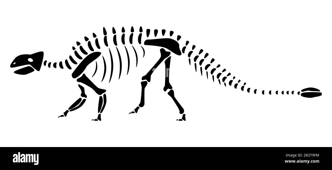 Squelette d'Ankylosaurus . Silhouette dinosaures . Vue latérale . Vecteur . Illustration de Vecteur