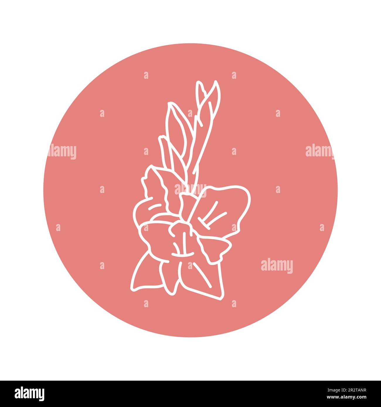 Icône de la ligne noire de la fleur Gladiolus. Pictogramme pour page Web, application mobile, Promo. Illustration de Vecteur