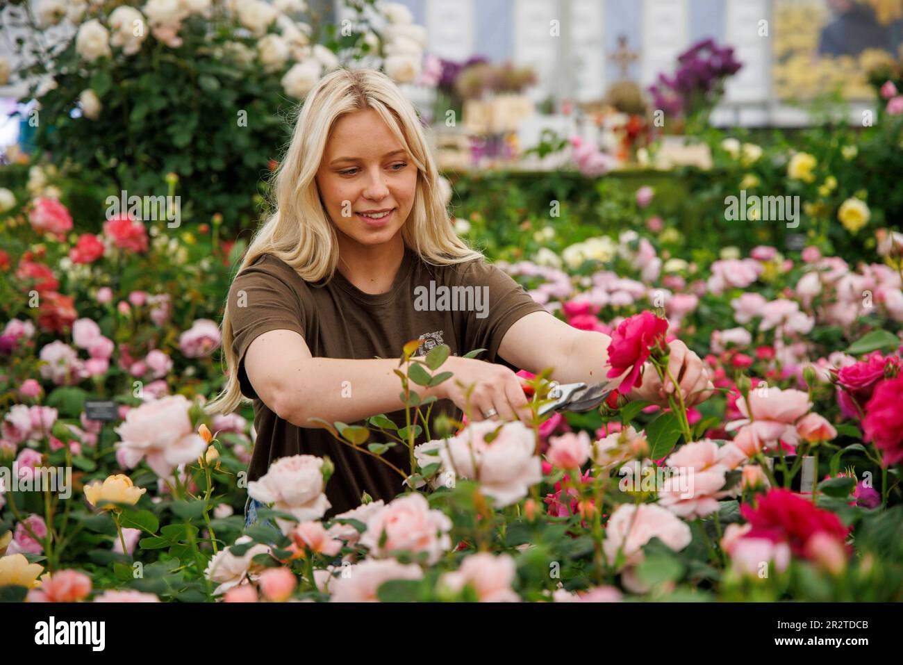 Londres, Royaume-Uni. 212 mai 2023. Dernière accumulation au RHS Chelsea Flower Show. Les exposants mettent la touche finale à leurs expositions avant le jour de la presse et la visite de HRH King Charles III et Queen Camilla demain. Le spectacle de fleurs s'étend de 22 mai à 27 mai. Crédit : Karl Black/Alay Live News Banque D'Images