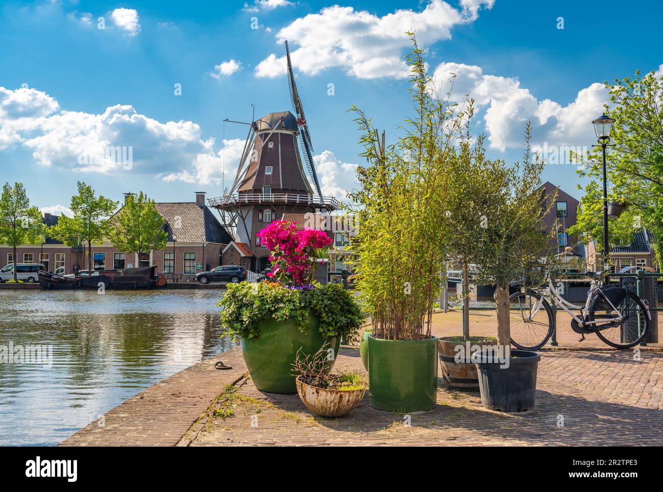 Paysage avec moulin à vent hollandais historique et plantes au bord du canal dans la ville de Meppel Banque D'Images