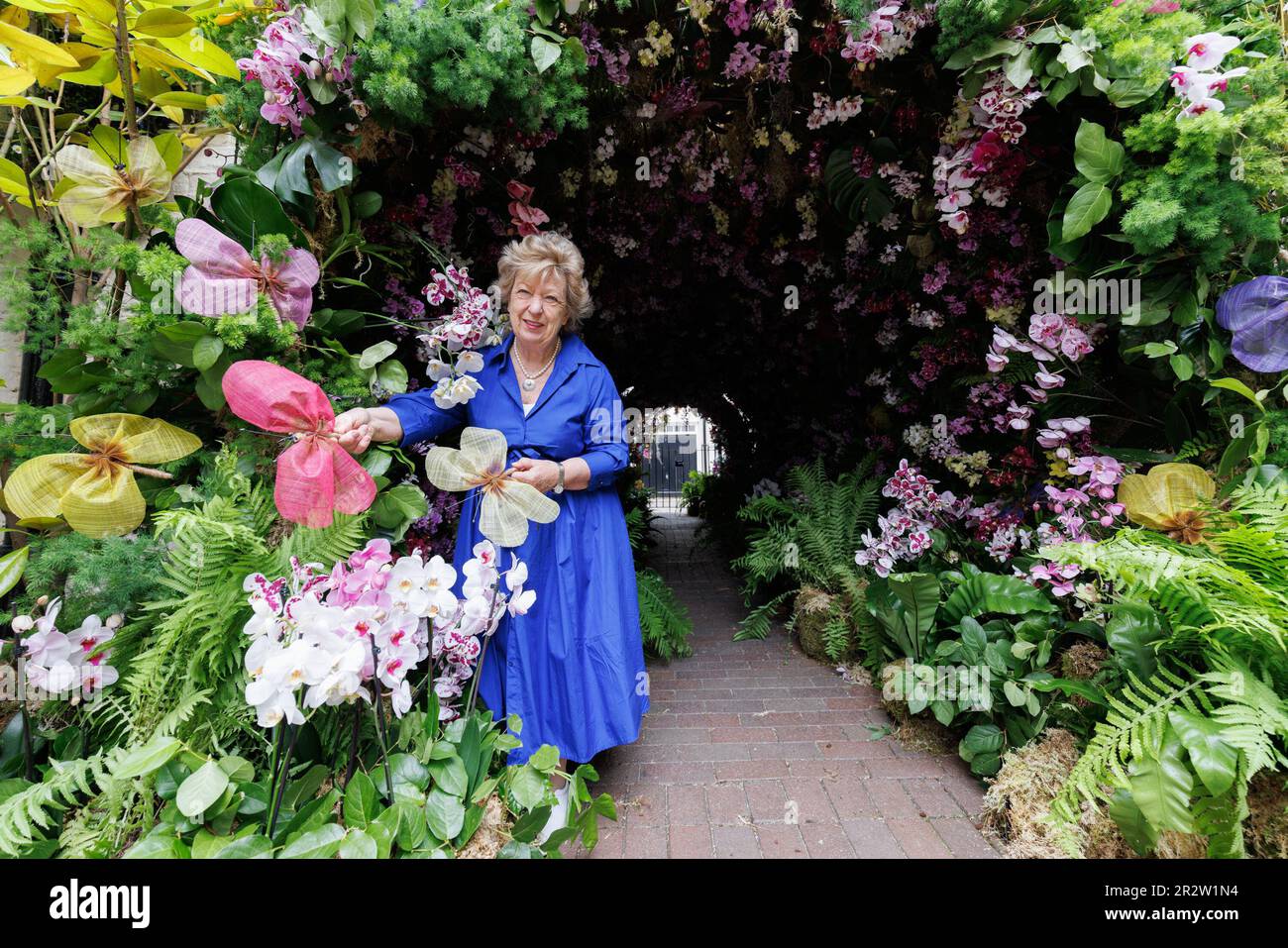 USAGE ÉDITORIAL EXCLUSIF Florist Judith Blacklock apporte la touche finale à une installation florale, « Orchids and Butterflies by Judith Blacklock Flower School », à Kinnerton Street, Londres, qui a été conçue pour le festival Belgravia in Bloom, à partir de 22-29 mai, Londres. Date de la photo: Dimanche 21 mai 2023. Banque D'Images