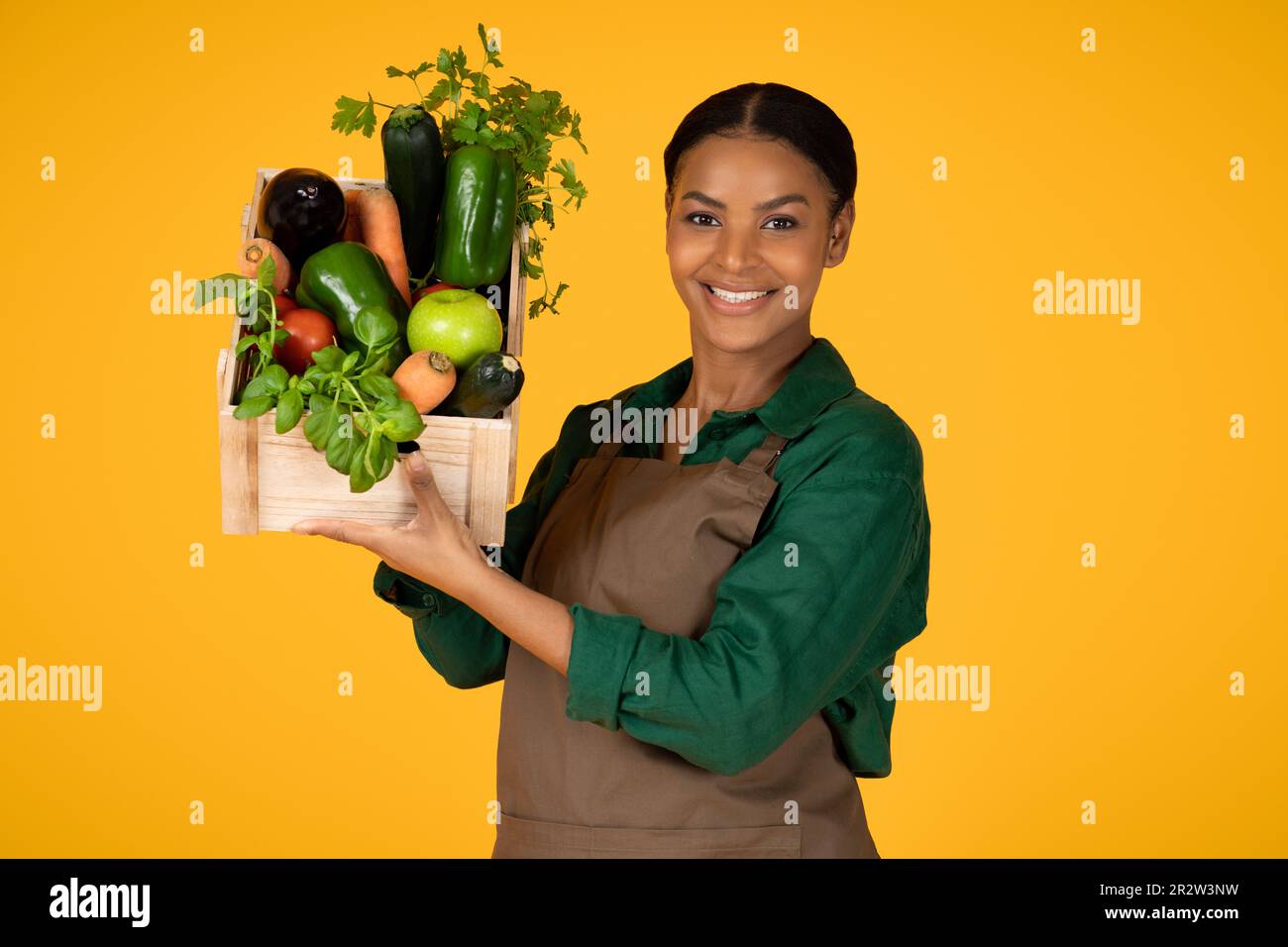 Femme noire montrant une boîte de conservation de récolte avec des légumes, Studio Shot Banque D'Images