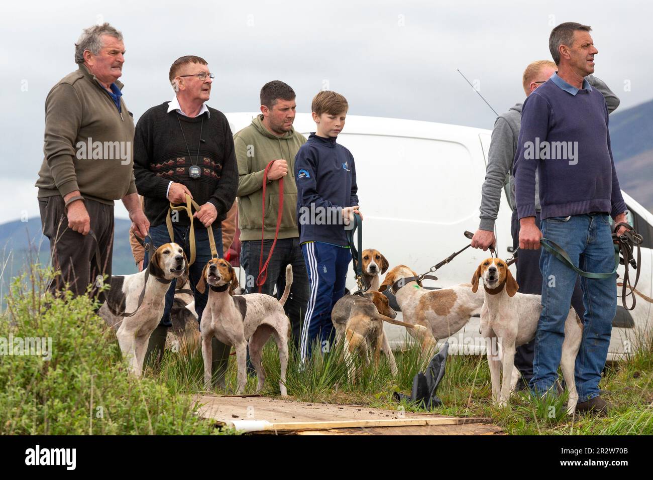 Portmagee, comté de Kerry, Irlande. 21st mai 2023. Beagles et leurs propriétaires se disputant une chasse à la traînée, un sport humain local. Comté de Kerry, Irlande crédit: Stephen Power/Alay Live News Banque D'Images