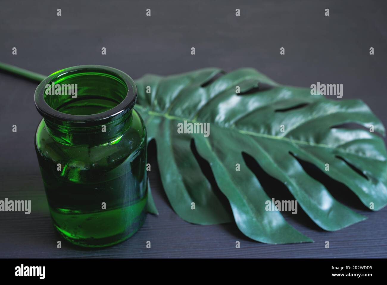 Feuille de Monstera sur fond noir avec vase vert. Concept et minimalisme. Banque D'Images