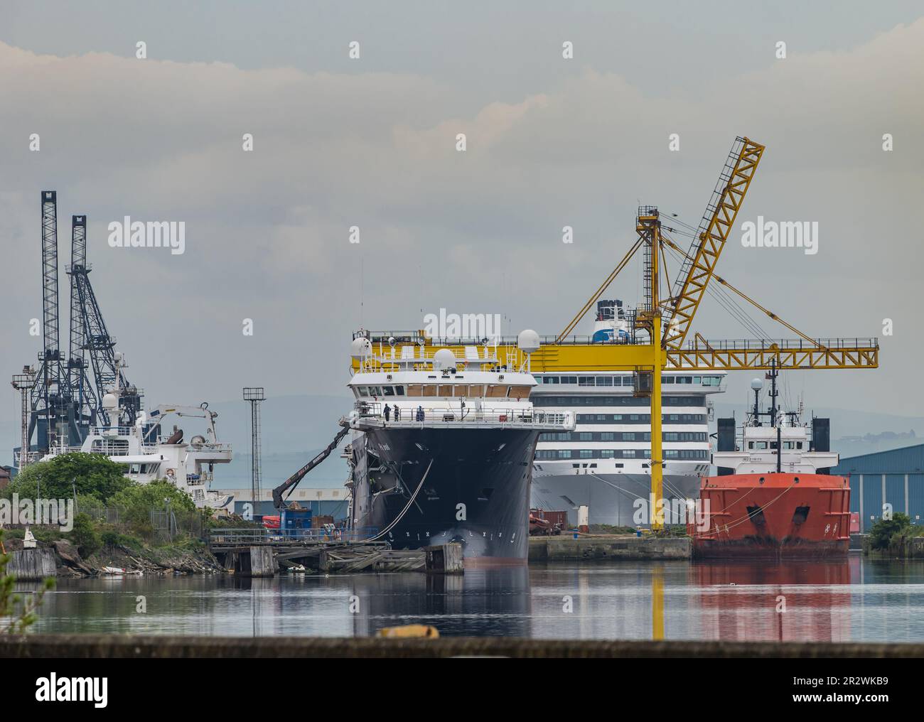 Navires amarrés sur les quais du port de Leith, y compris le navire de recherche Petrel, Édimbourg, Écosse, Royaume-Uni Banque D'Images