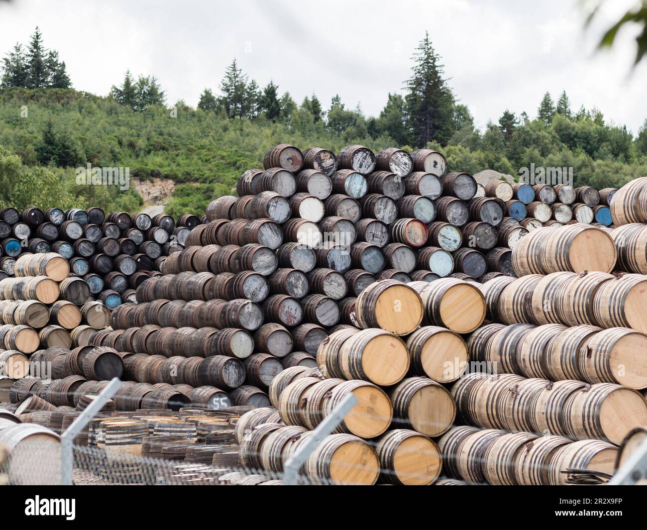 Craigellachie, Écosse - 4 août 2022 - production traditionnelle de barils de chêne pour Scotch malt Whisky au Speyside Cooperage de Craigellachie. Banque D'Images