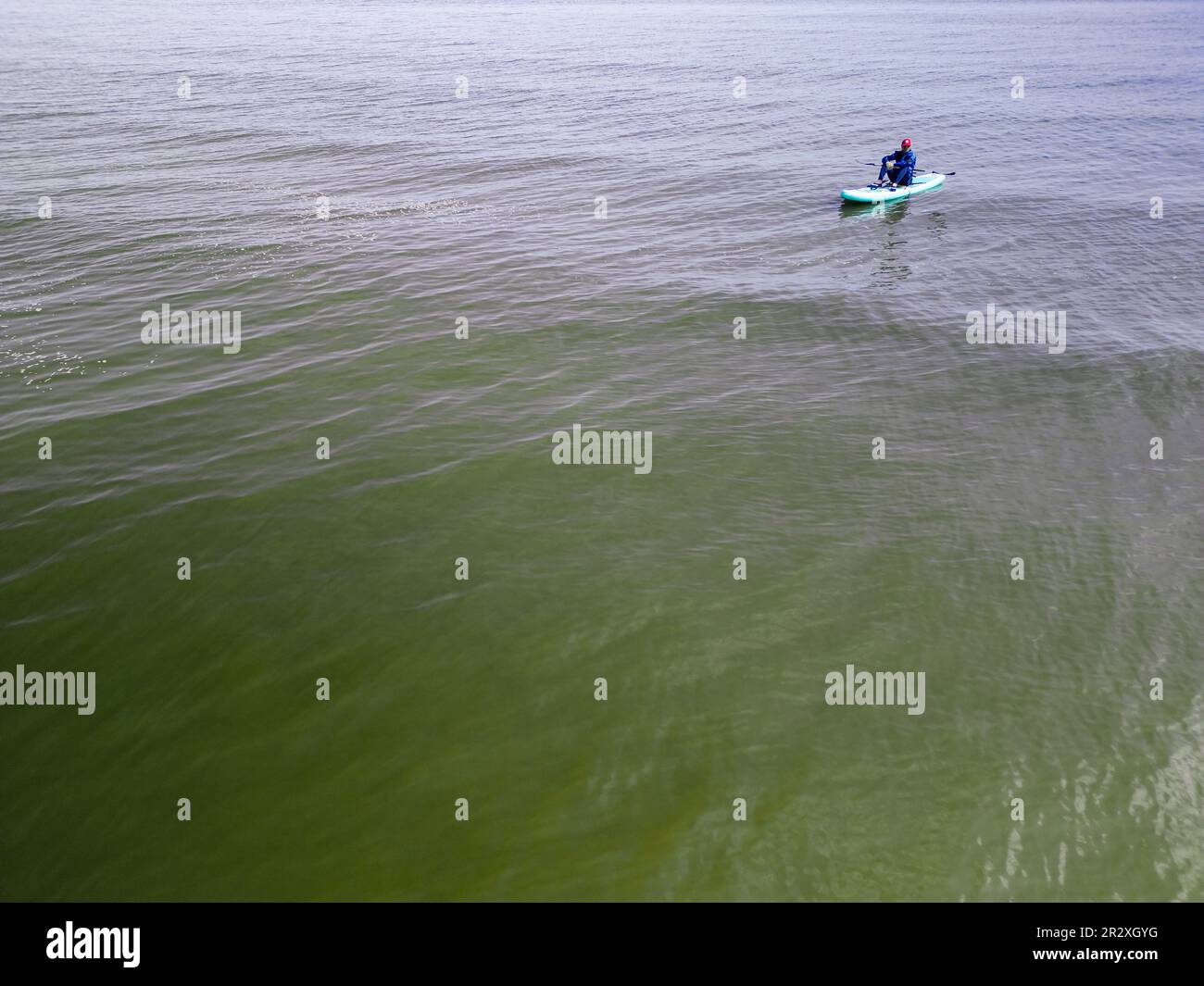 Paddle Boarder, Portobello, Édimbourg, Écosse Banque D'Images