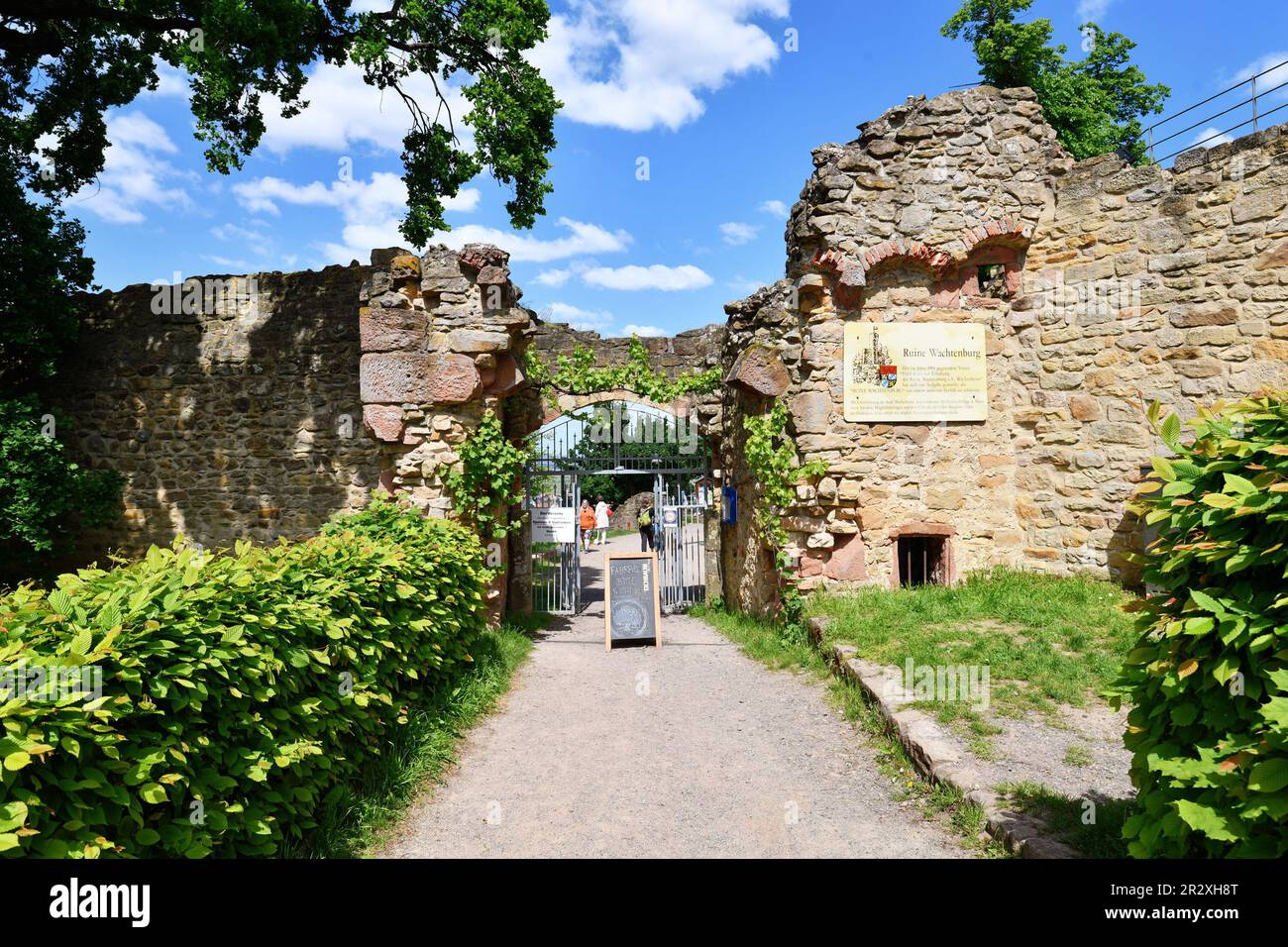 Wachenheim, Allemagne - Mai 2023: Entrée de la ruine du château de l'éperon appelé Wachtenburg en Rhénanie-Palatinat Banque D'Images