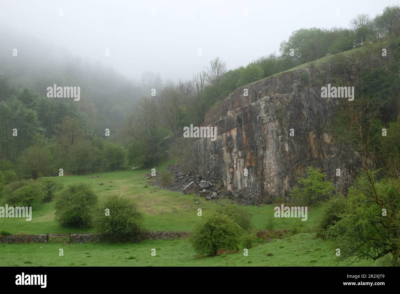 2023 mai - Blackrock, Cheddar, Somerset, Angleterre, Royaume-Uni. Banque D'Images