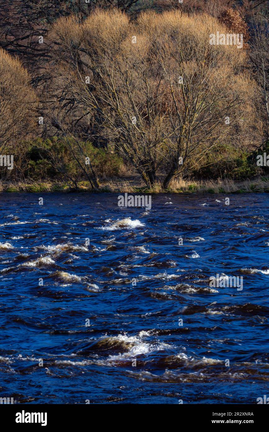 Rivière Spey dans le Speyside d'Écosse. Banque D'Images