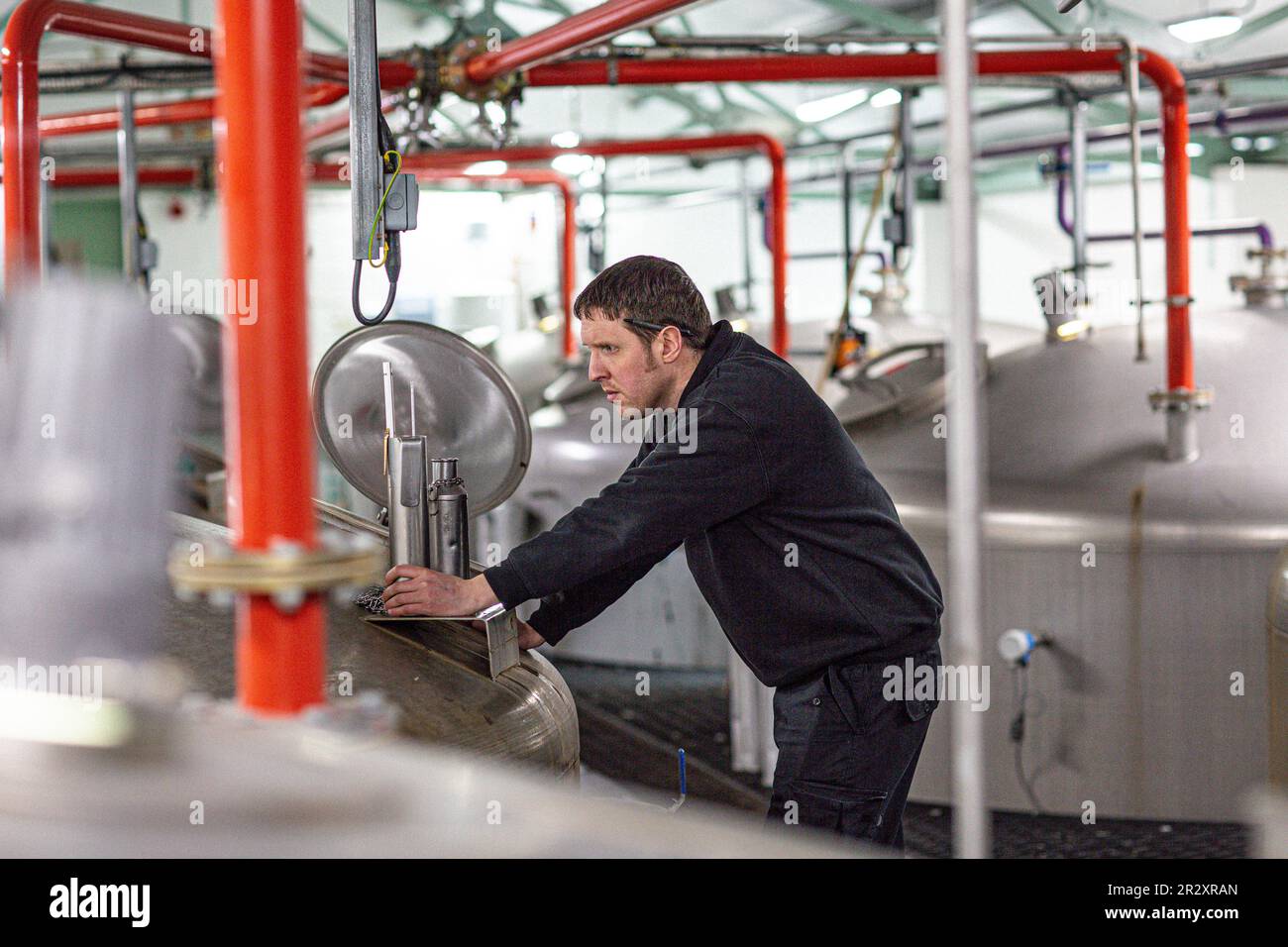 Un travailleur de distillerie qui vérifie le processus de fermentation à la distillerie de whisky Tamnavulin, Ballindalloch, Banffshire, Écosse. Banque D'Images