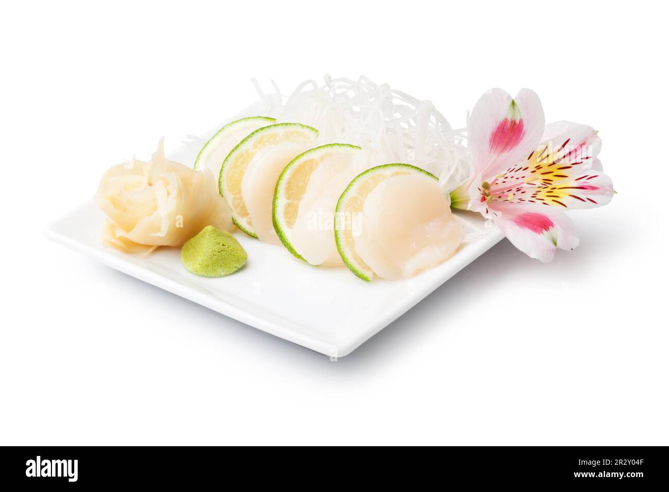 coquilles saint-jacques sashimi avec plaque de withe isolée sur fond blanc Banque D'Images