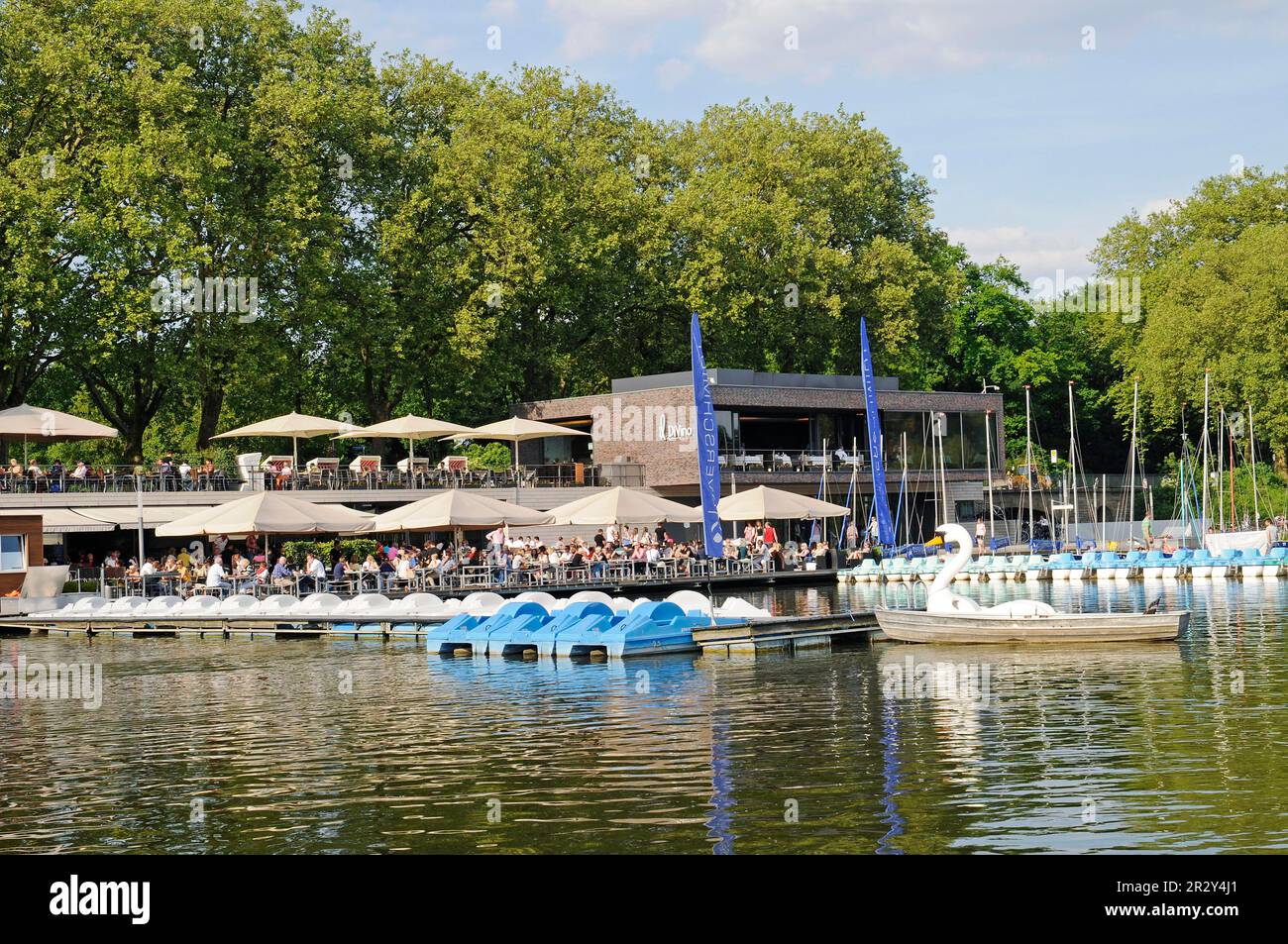 Aaseeterassen, restaurant, location de bateaux, port, Aasee, lac, aire de loisirs locale, Muenster, Muensterland, Rhénanie-du-Nord-Westphalie, Allemagne Banque D'Images