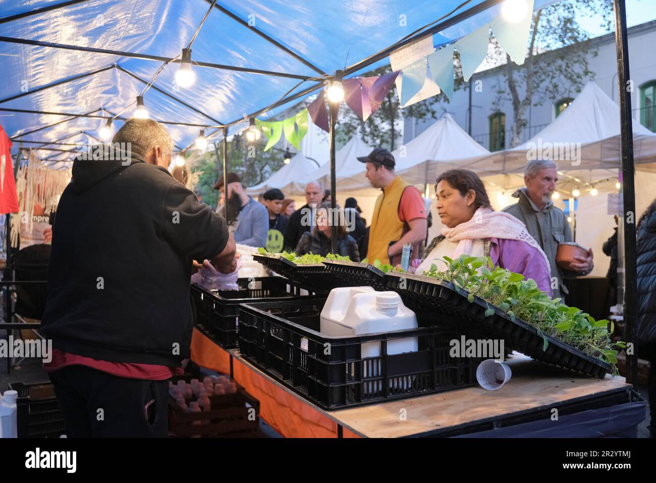 Buenos Aires, Argentine, 20 mai 2023: Stand de vente de plantules agroécologiques pendant le salon de l'économie populaire et du cooperativisme Banque D'Images