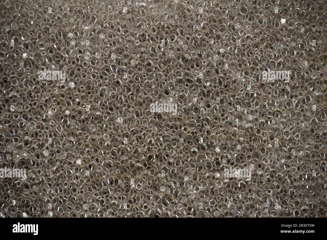 Gros plan macro texture éponge Banque D'Images