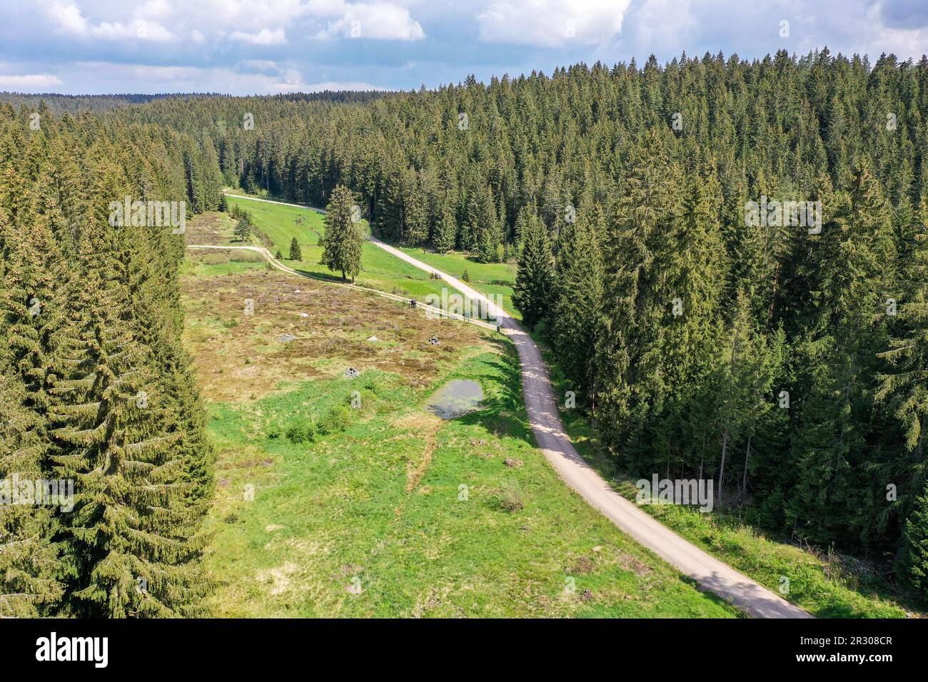 PRODUCTION - 15 mai 2023, Saxe, Grünheide: La vallée de Zinsbach dans le Vogtland. De nombreux gardiens de sentiers bénévoles sont responsables de l'entretien et de l'entretien des sentiers de randonnée. Leurs tâches comprennent le marquage des sentiers de randonnée ou le défrichement éventuel des arbres et l'élimination d'autres obstacles. Des dommages importants sont signalés à la municipalité. (À dpa 'les gardes de sentiers de service - les sentiers de randonnée obtiennent le nettoyage de printemps') photo: Jan Woitas/dpa Banque D'Images