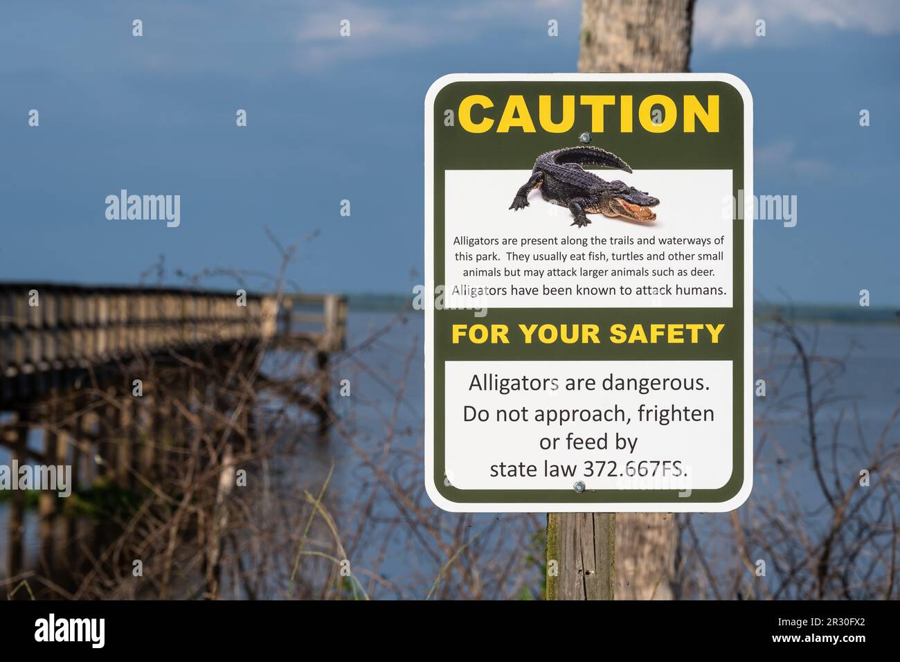 Panneau d'avertissement des alligators près de la promenade d'observation d'Ecopassage au parc national Paynes Prairie Preserve à Micanopy, Floride, près de Gainesville. (ÉTATS-UNIS) Banque D'Images