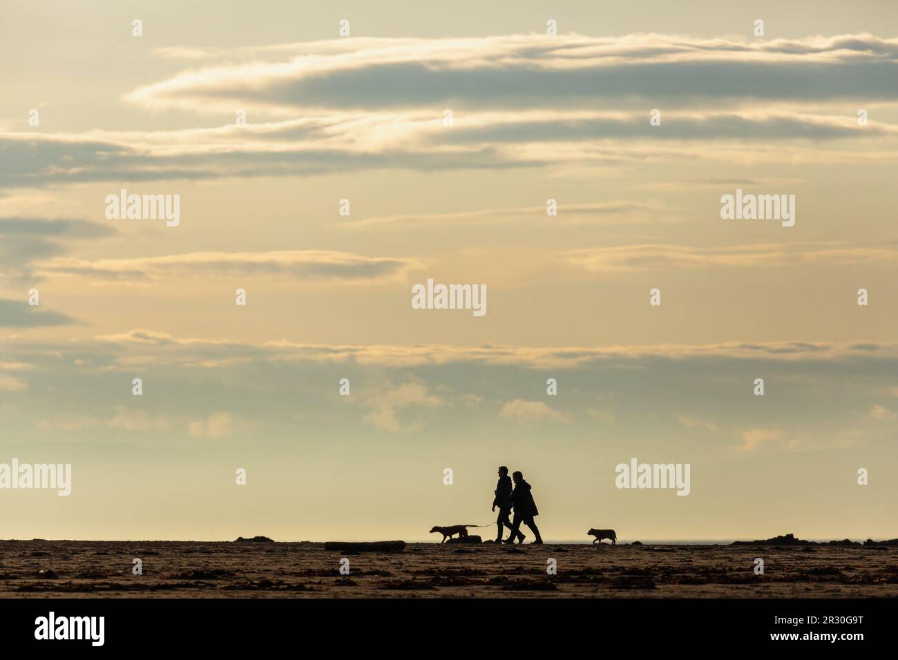 Un copule en silhouette marchant leurs chiens sur une plage de North Berwick Banque D'Images