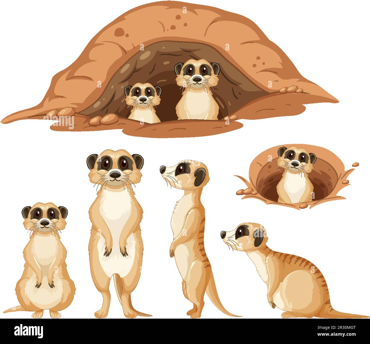 Ensemble de meerkat personnage illustration Illustration de Vecteur