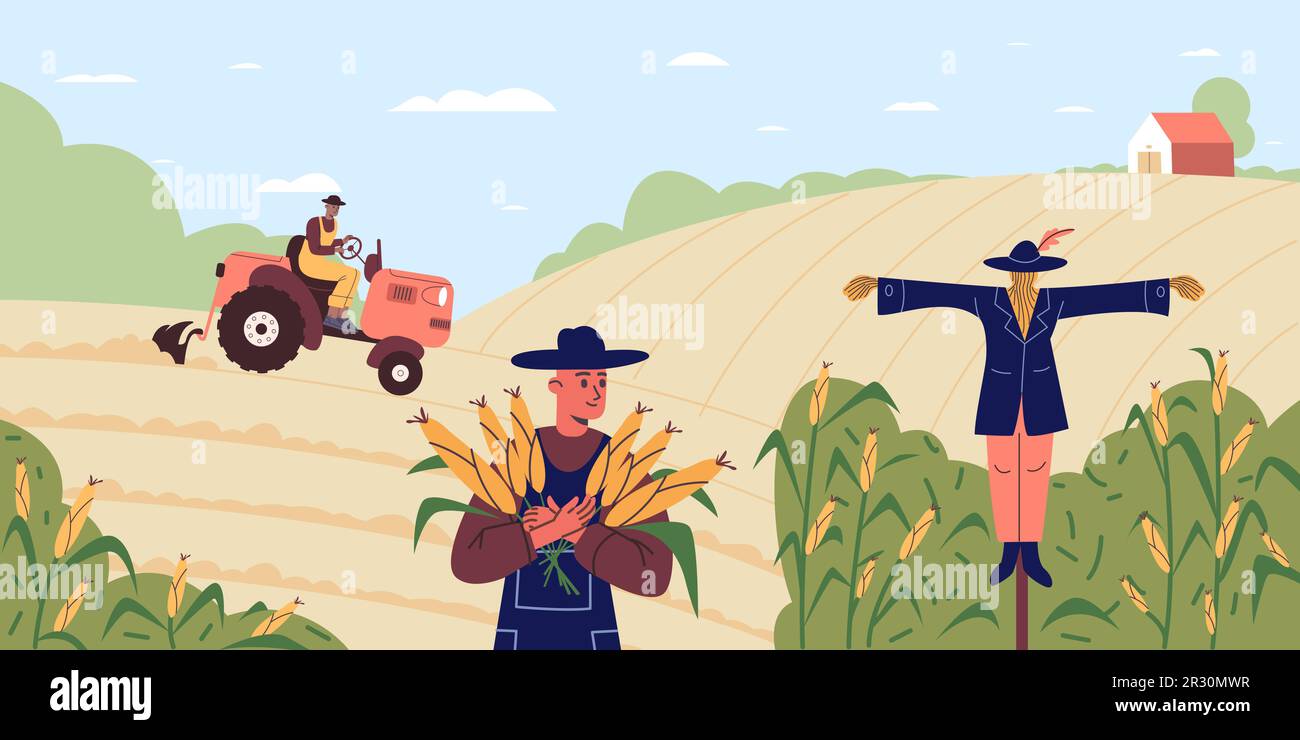 Travailleurs agricoles. Les exploitants de dessins animés récoltent du maïs. Homme labourant le sol par tracteur. Campagne gens. Culture du maïs. Champ d'exploration. Plante mûre Illustration de Vecteur