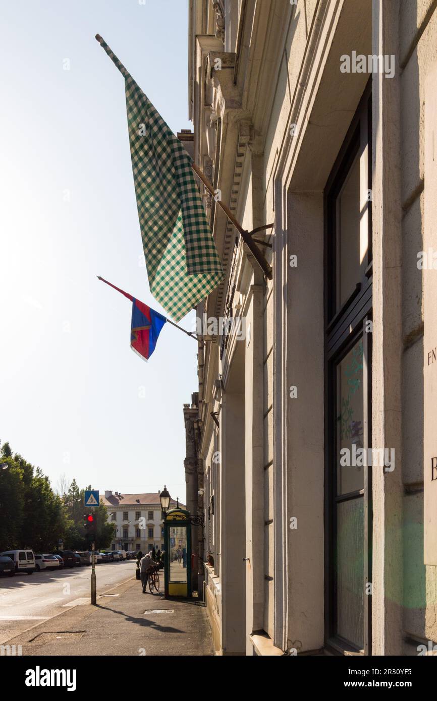 École avec drapeau à carreaux ou à carreaux, symbole de la communauté des enseignants proteste contre les abus du gouvernement, Sopron, Hongrie Banque D'Images