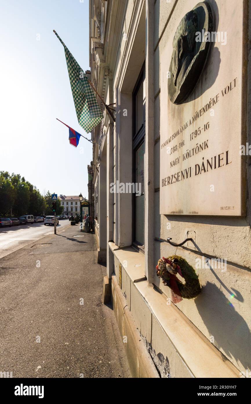 École avec drapeau à carreaux ou à carreaux, symbole de la communauté des enseignants proteste contre les abus du gouvernement, Sopron, Hongrie Banque D'Images