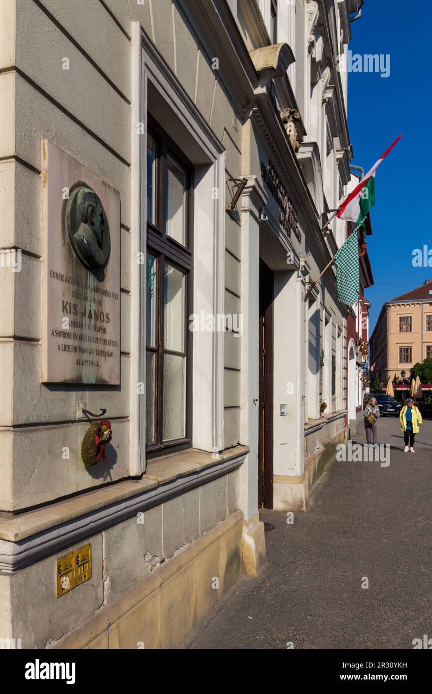 École avec drapeau à carreaux ou à carreaux, symbole de la communauté des enseignants proteste contre les abus du gouvernement, Sopron, Hongrie Banque D'Images