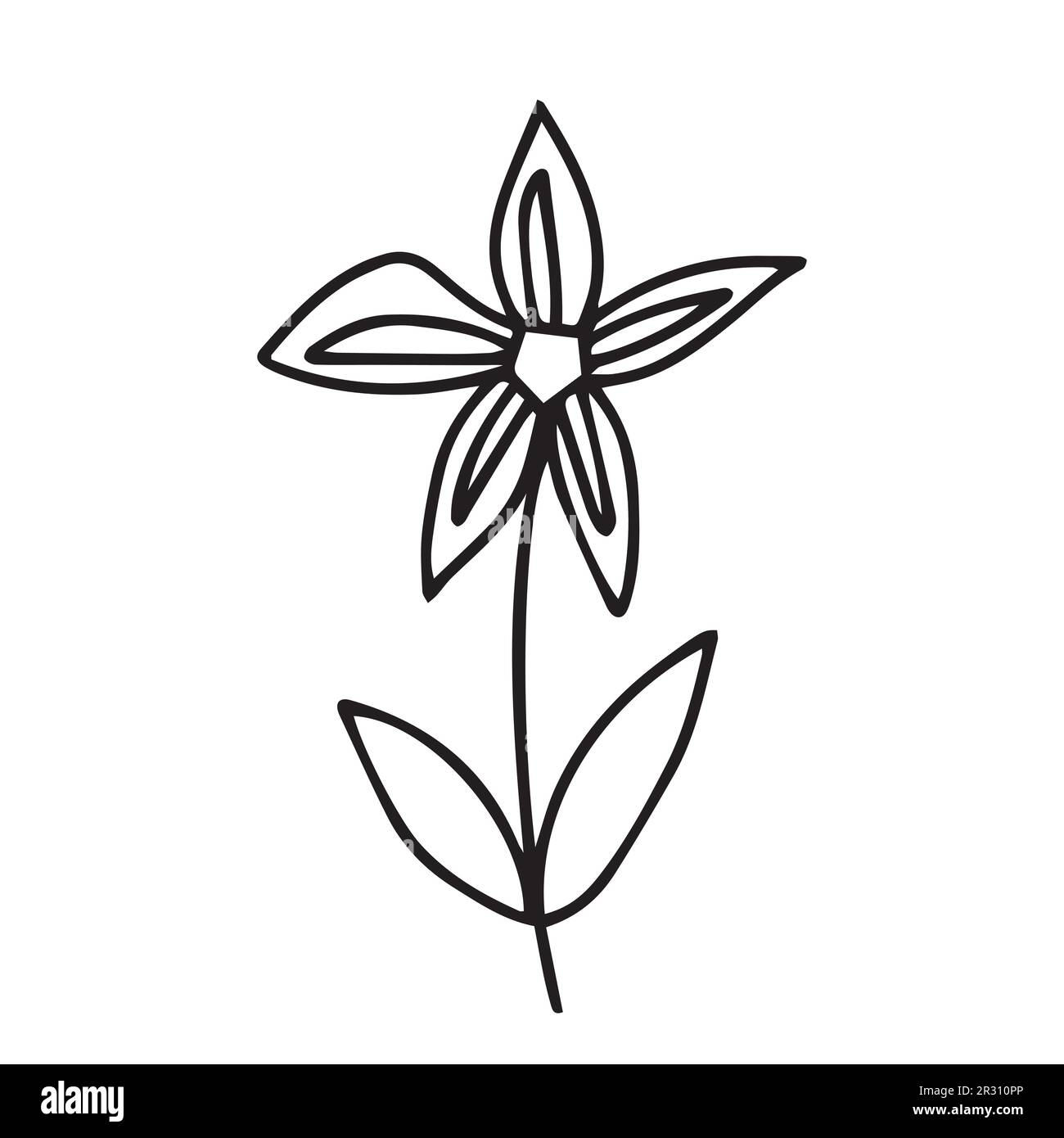 fleur d’été Illustration de Vecteur