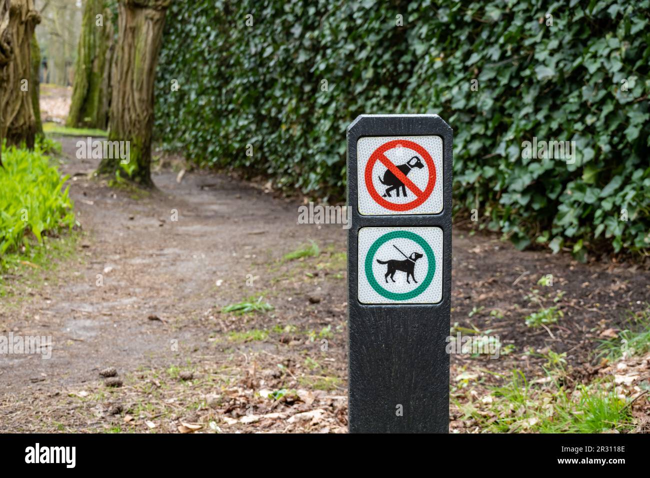 Panneau avec pictogrammes pour les chiens interdits de défecate et les chiens doivent être sur la laisse sur le sentier dans les bois, Hilversum, pays-Bas Banque D'Images