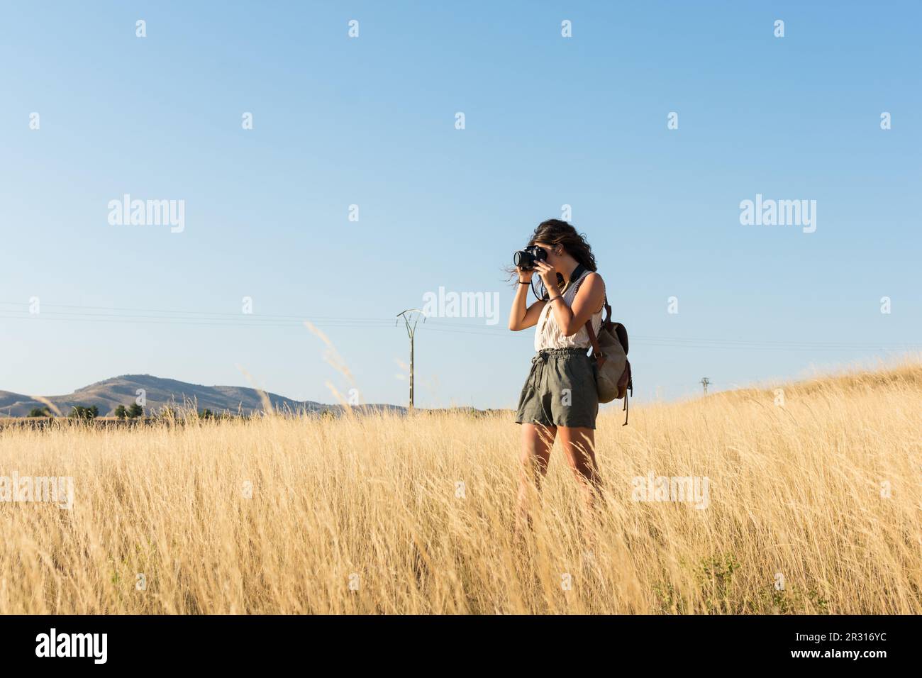 Une jeune femme prend une photo avec un appareil photo dans un pré au soleil Banque D'Images
