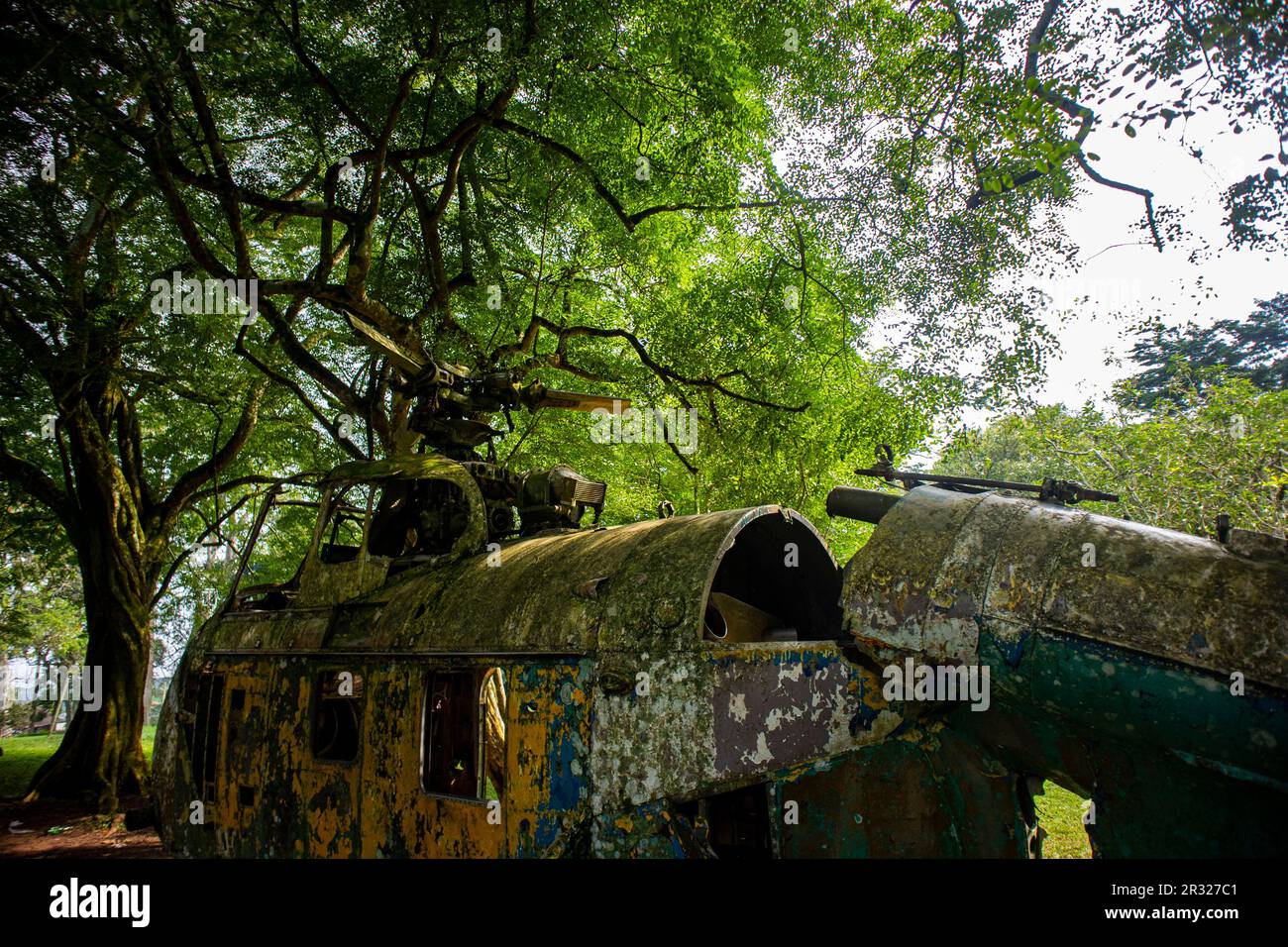 Ruines d'un vieil hélicoptère sous la voûte d'un arbre vert Banque D'Images