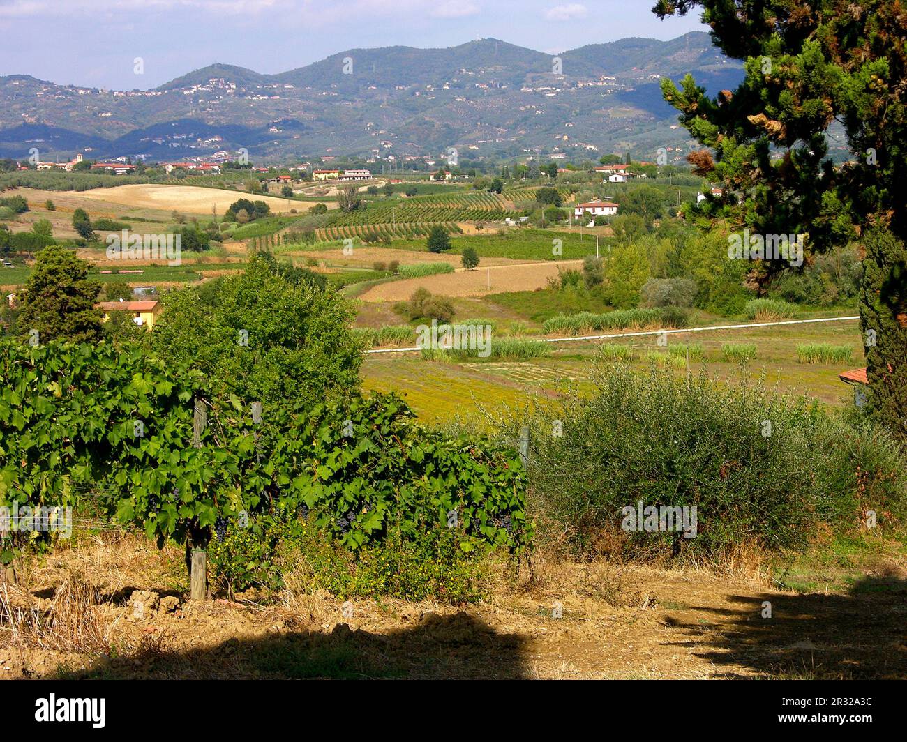 San Miniato Banque D'Images