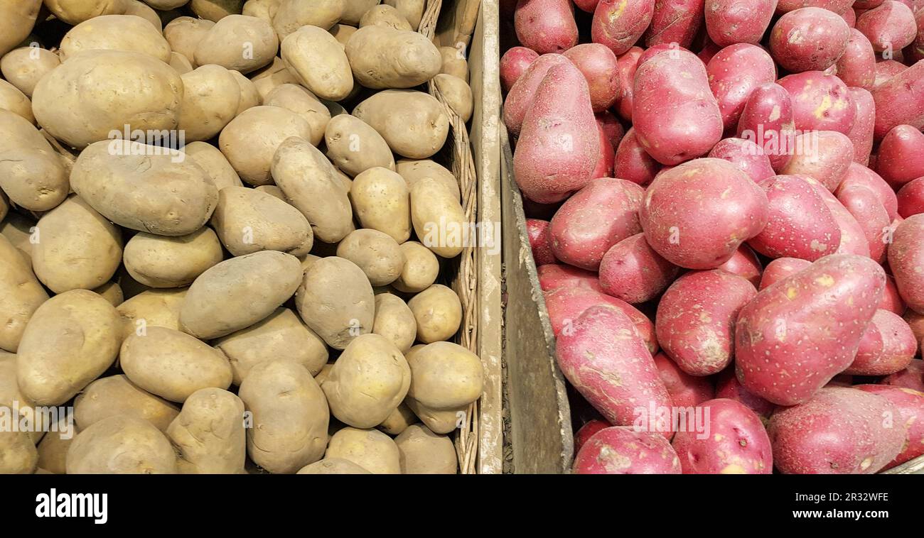 Panier avec pommes de terre blanches et rouges sur le comptoir. Légumes naturels biologiques, pommes de terre agricoles à vendre Banque D'Images