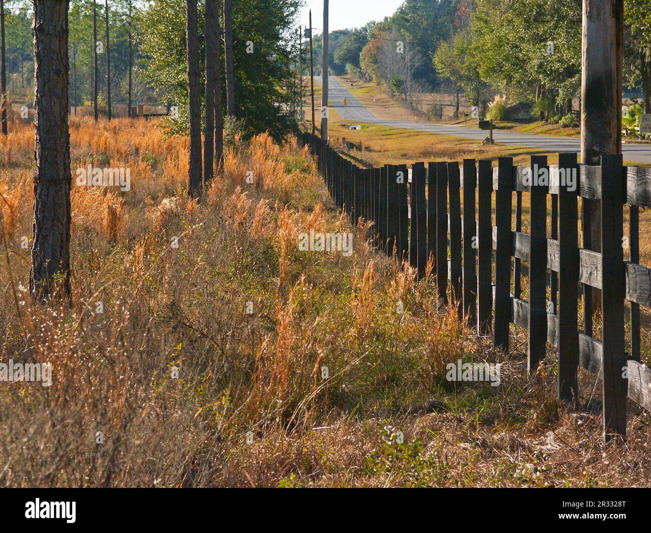 Route rurale dans le centre-nord de la Floride. Banque D'Images