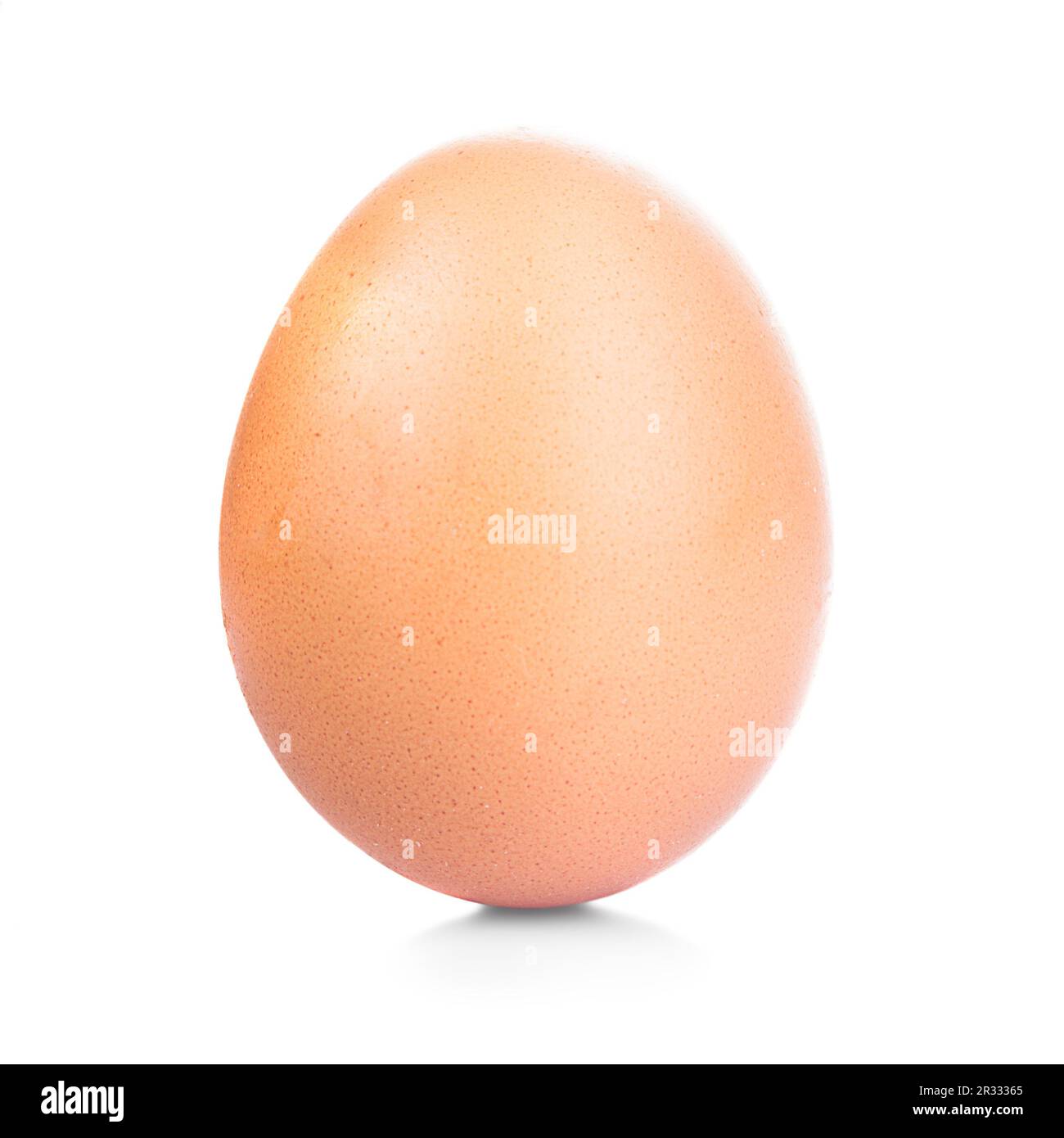 Un œuf Banque D'Images