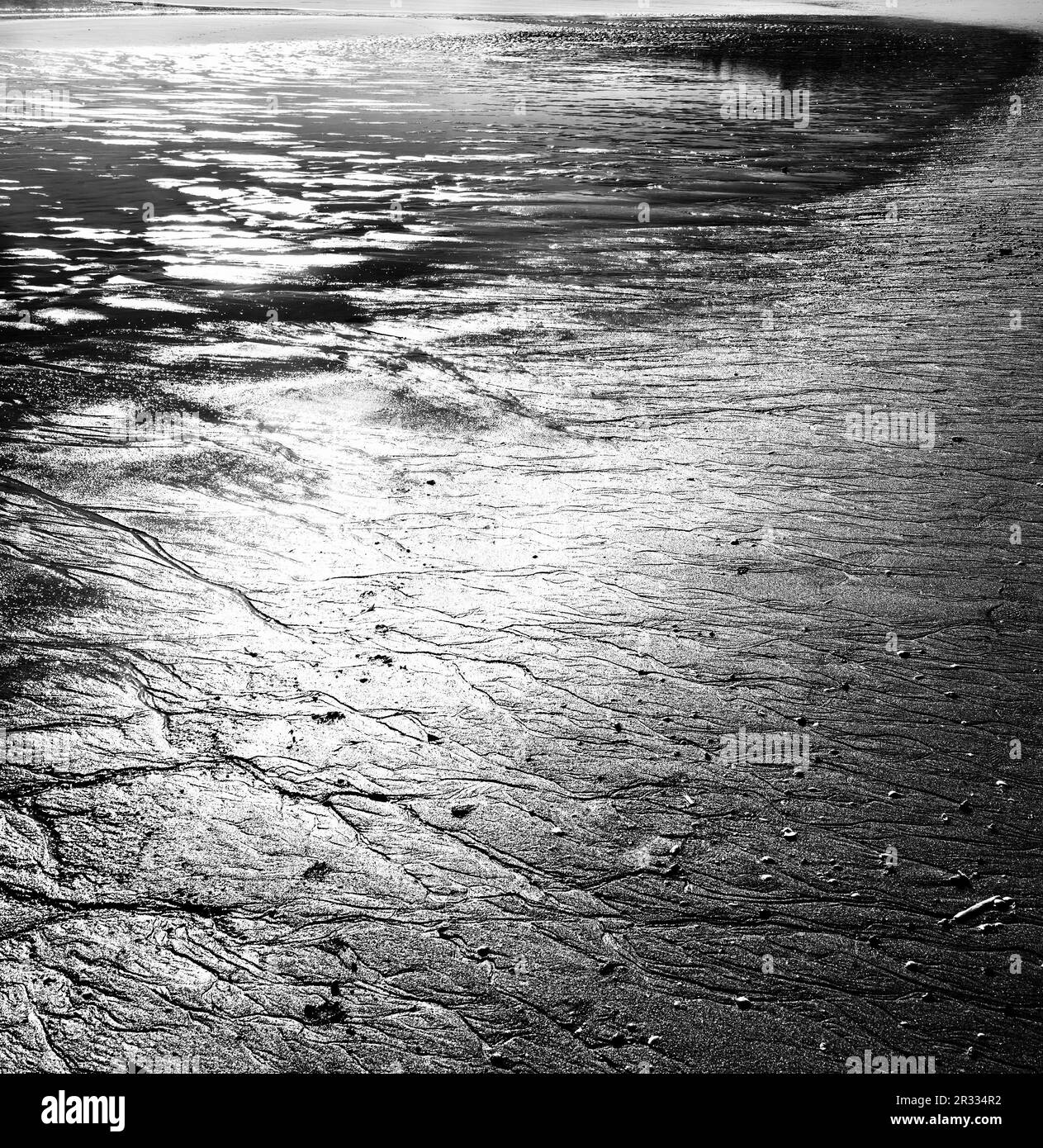 Sable humide sur une plage vide. Photographie en noir et blanc. Banque D'Images
