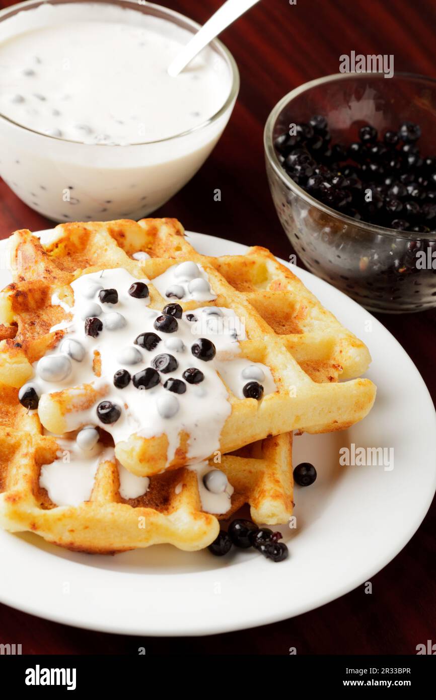 Gaufre Banque D'Images
