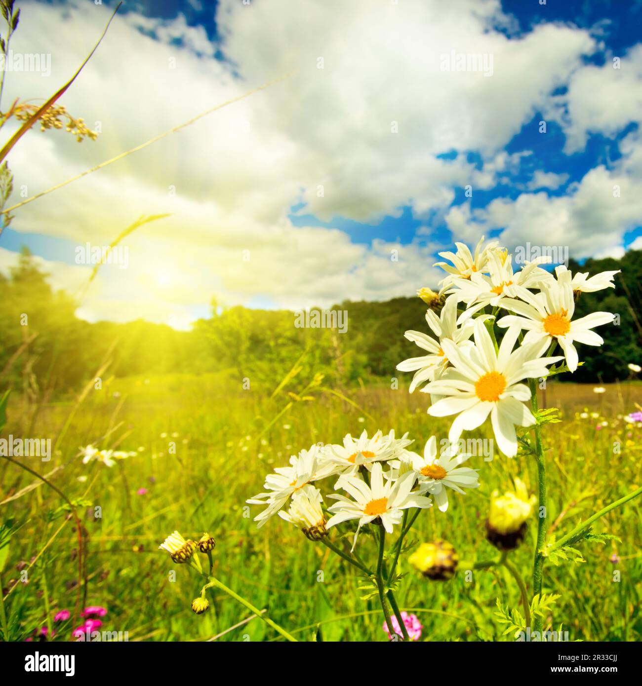 Soleil à œil-de-bœuf dans le ciel Banque D'Images