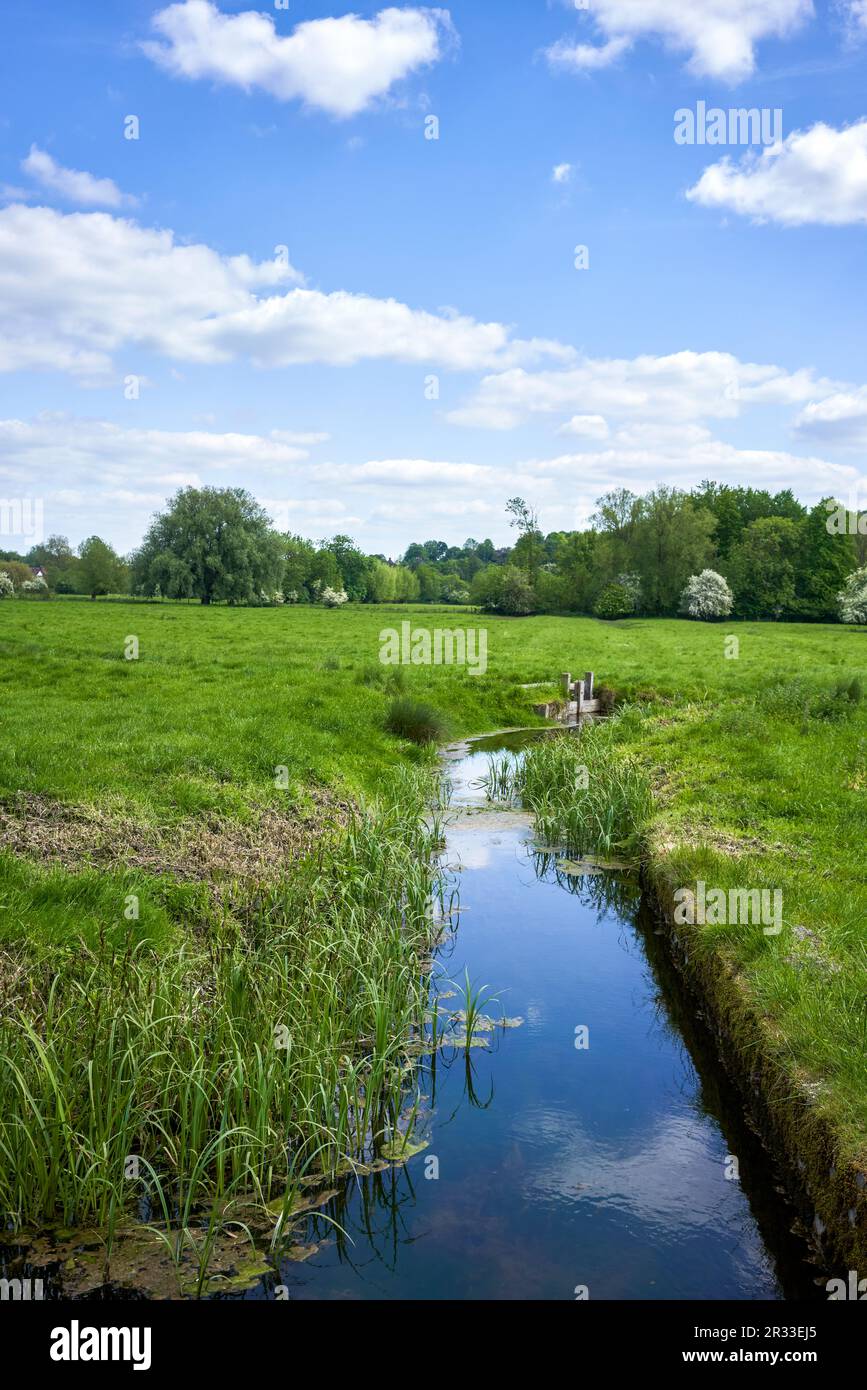 Petit ruisseau d'irrigation traversant une prairie en été Banque D'Images